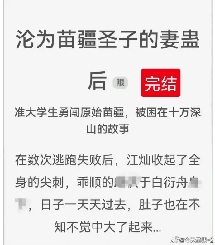 《沦为苗疆圣子的妻蛊后》狐狸雨小说全文免费阅读-沦为苗疆圣子的妻蛊后全集无删减完整版-在线看热门小说资源分享