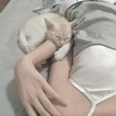 昆廷夫妇合集全集在线看-【1080P高清】画质修复版无广告-【网盘观看】资源放送-昆廷夫夫全系列剧情未删减中文版